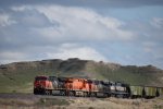 CN 3095/3023/3800/BNSF 9621